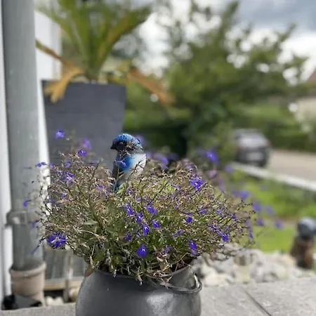 Loft Bellevue Διαμέρισμα Saint-Louis (Haut-Rhin)