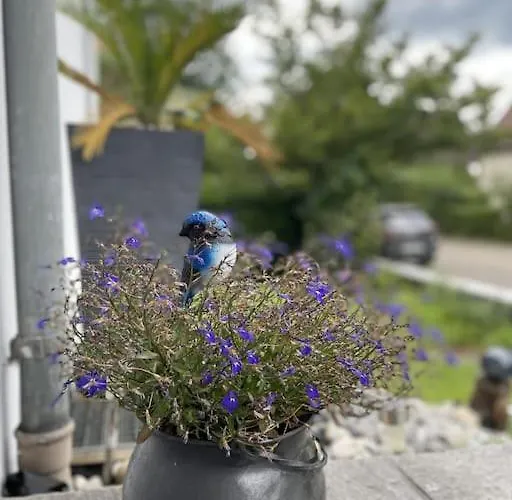 Loft Bellevue Apartment Saint-Louis (Haut-Rhin)