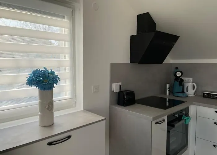 Loft Bellevue Apartment *